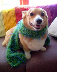 A better scarf model