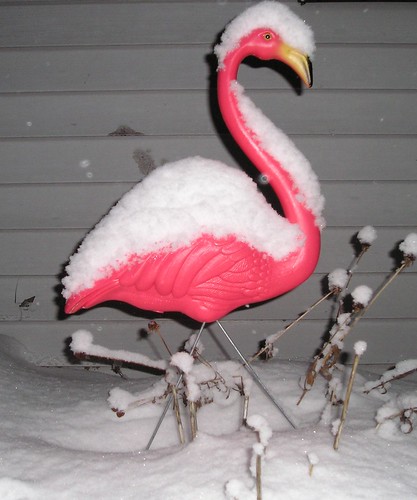 A pink plastic flamingo burried in snow
