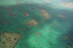 Great Barrier Reef - OZ