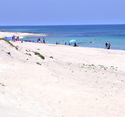 Indian Ocean - Bunbury beach