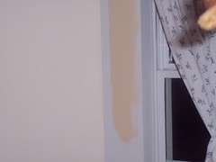 Painting the bedroom