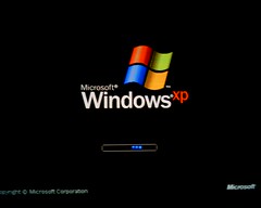snap8695 - windows xp boot screen