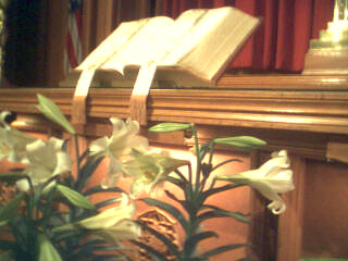 Bible and Lilies