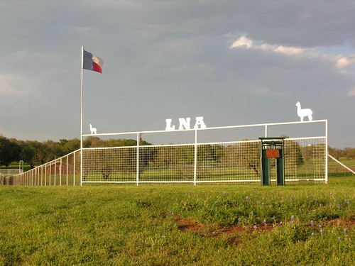 llllllllama ranching near lllllano texas