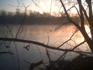 By the Misty Potomac