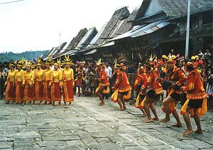 Traditional Nias Villages