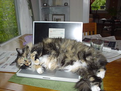 I'm finding it a little hard to get to my laptop.
