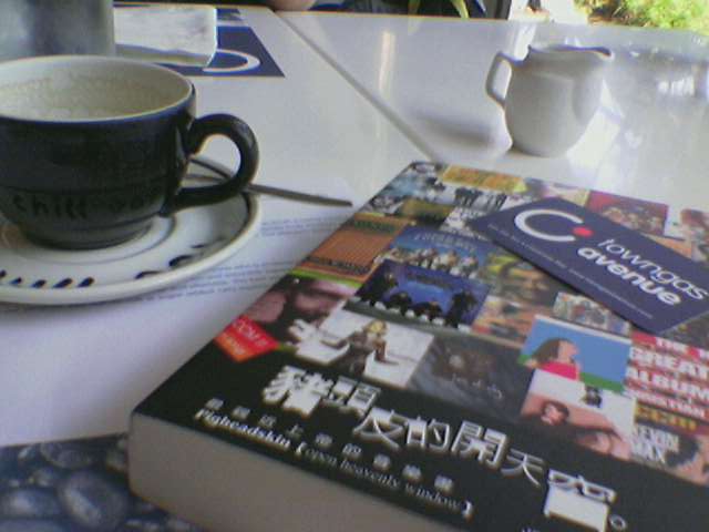 I'm reading a CCM book called 豬頭皮的開天窗 in Towngas Avenue.
