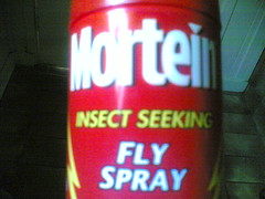 insect seeking?!?!